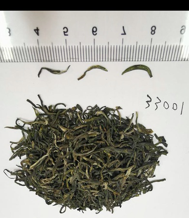 Changshengchuan 2020 Green Tea(Maojian) Superfine № 33001