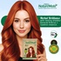 Nisha Naturemate Natural Henna Based Hair Color 90g -Henna | Ammonia-Free, PPD & Resorcinol Free | 100% Grey Coverage Hair Colour
