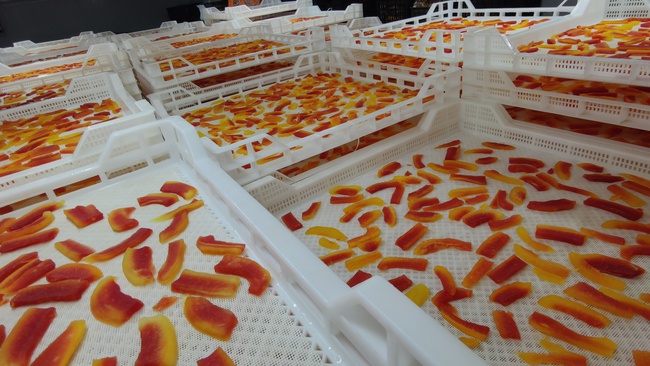 Kurutulmuş Papaya. OLMISH fabrikalarından kurutulmuş meyveler