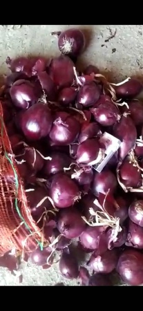 Üreticiden sebze ve meyveler (mevsime göre)