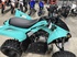 2025 Yamaha Raptor 110 New