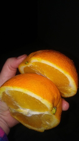 Апельсин "Вашингтон" напрямую от поставщика в Турции