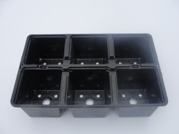 Seedling cassette 6 cells (7 * 7 cm)