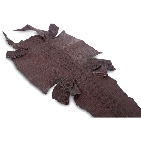 КОЖА (ШКУРЫ) КРОКОДИЛА