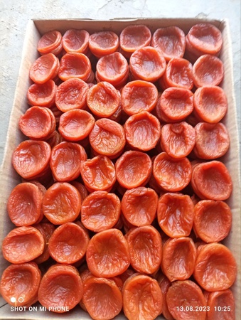 Курага Субхон