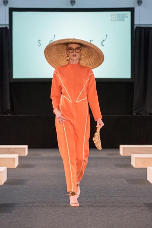 The Sun And Tree Overall