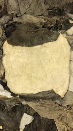 Говяжья книжка