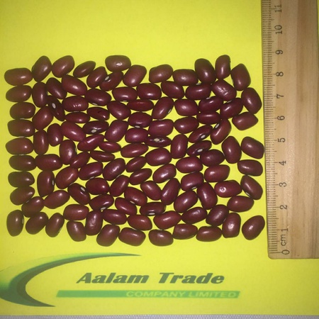 Kırmızı fasulye Domates