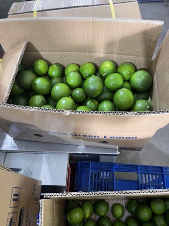 Свежий лайм без косточек из Вьетнама/свежий лайм/свежий зеленый лимон без косточек