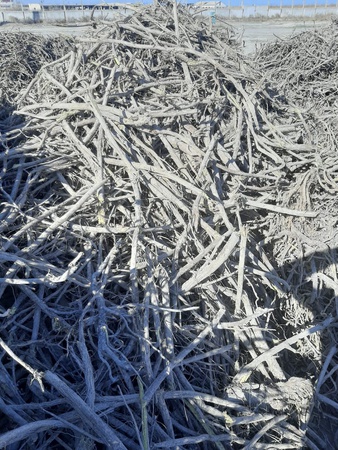 Корень солодки