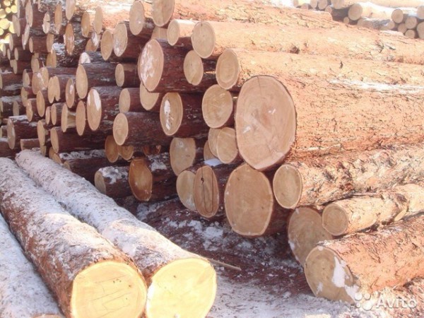 Кругляк. Круглый лес. Сосна, 1-2 сорт по ГОСТ 9463