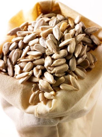 Selected good seeds for sunflower oil