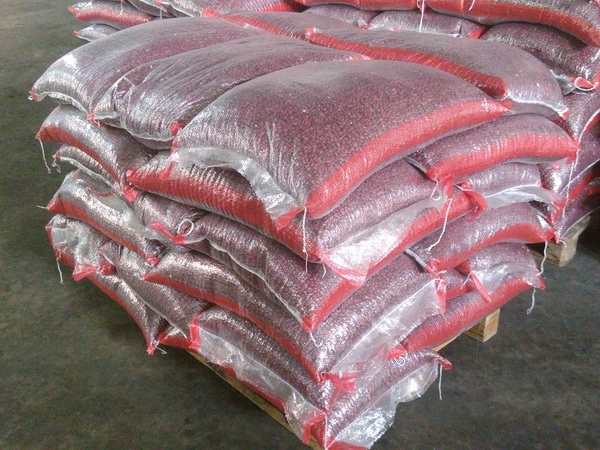 Фасоль томатка