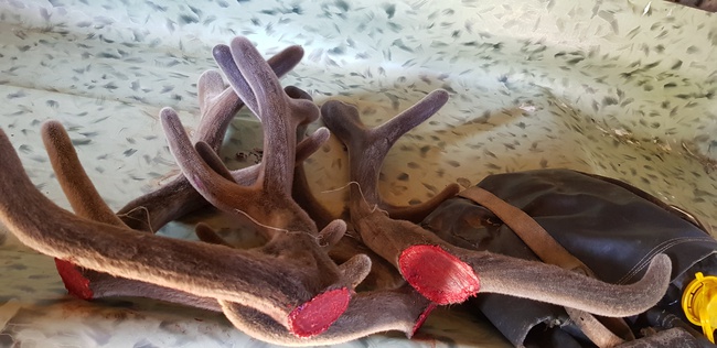 Путевки стандарт и люкс