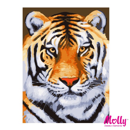 Картина по номерам Красавец