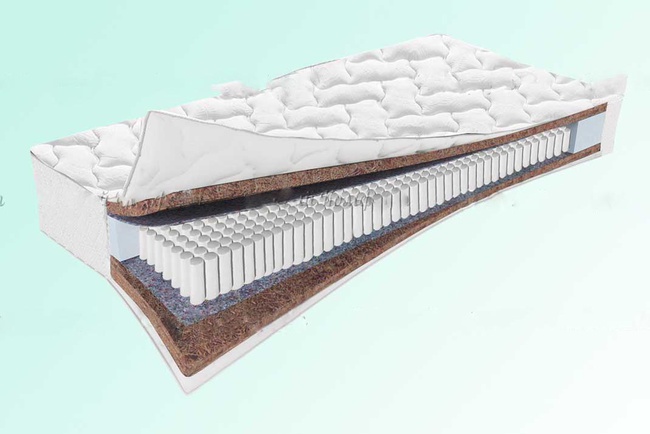 Yetişkin yatakları