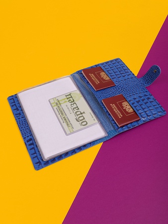 Папка органайзер для документов, семейные документы ПДК-400