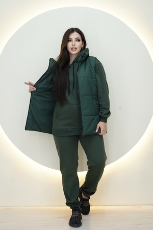 Костюм спортивный тройка с жилеткой