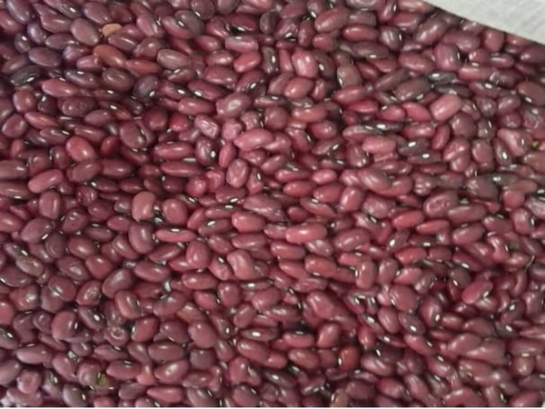 Фасоль томатная