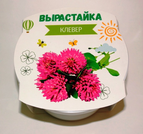 Çocuklar için deneyler. Bilim.