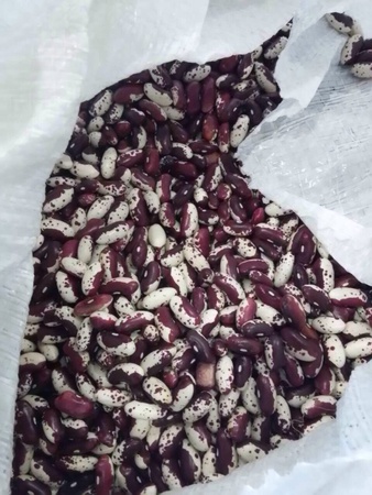 Сухофрукты,фрукты, орех, бобовые