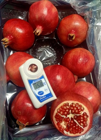 Фрукты, овощи, орехи, шафран