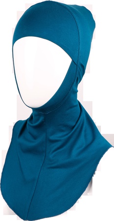 Подхиджабники