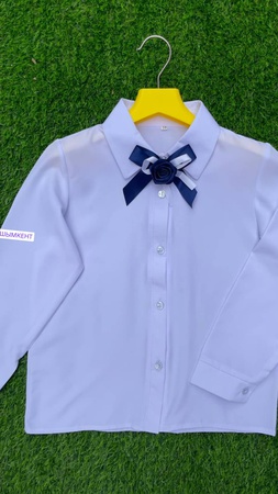 Школьные блузки