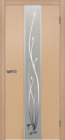 Астра, беленый дуб