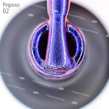 Manyetik jel verniği PNB (Kedi gözü) 9D