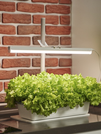 Фитосветильник «РАСТУЩИЙ светильник 9 Вт», «РАСТУЩИЙ светильник 16 Вт»