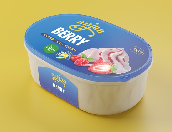 Мороженое 600 грам "Anjan"