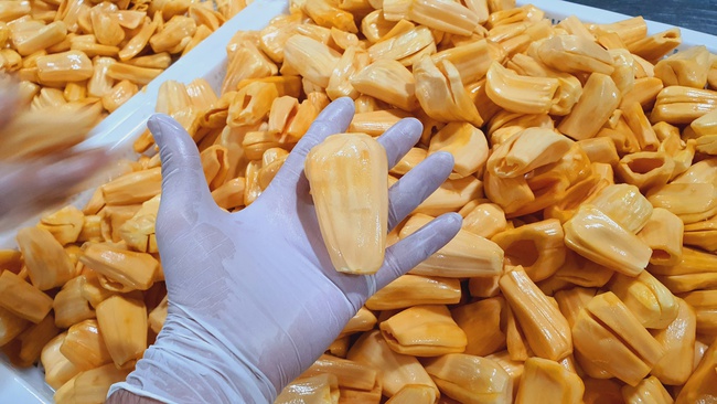 Джекфрут заморозка Оптом. Прямая поставка с завода