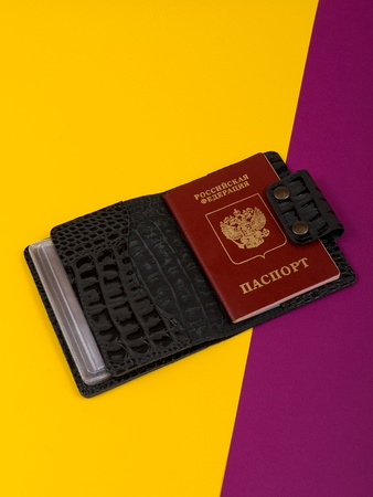 Wallet for auto documents and passport AK-63 +