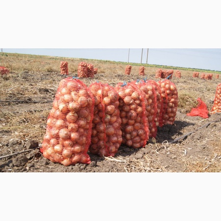 Лук репчатый, белый, красный, розовый