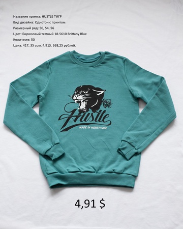 Мужские Толстовки