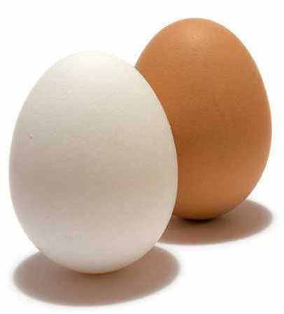 Tavuk yumurtaları.