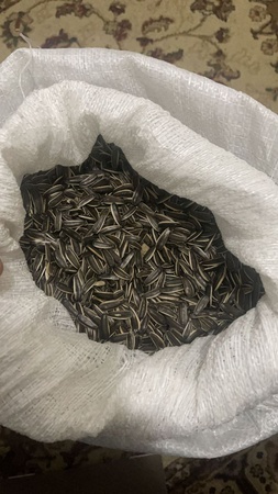 Полосатая семечка