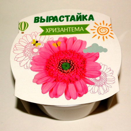 Çocuklar için deneyler. Bilim.