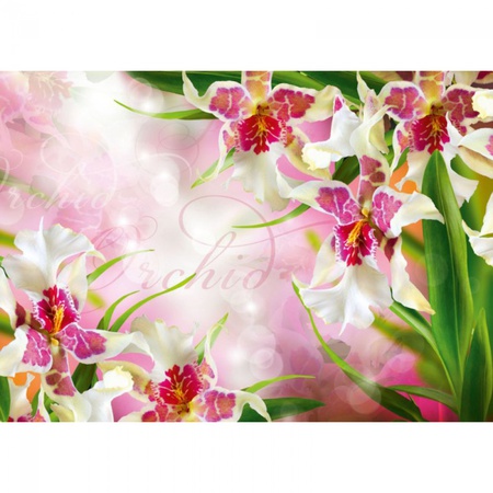 Цветочный вальс/8 листов