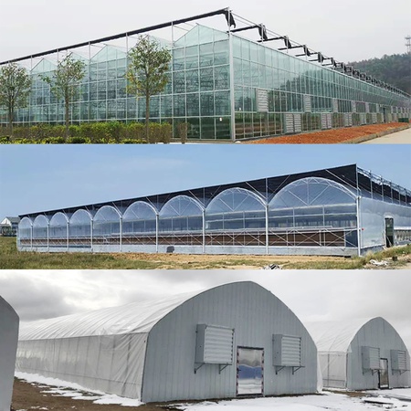 Commercial Greenhouse