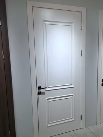 WPC door