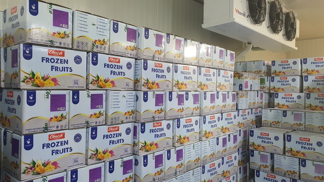 Замороженный Джекфрут мякоть. Замороженные фрукты с заводов OLMISH