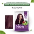 Nisha Natural Henna Hair Color 15g Burgundy Red, Pack of 10