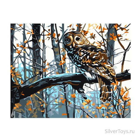 Paint by number owl