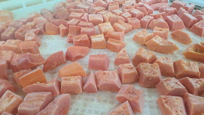 Папайя заморозка Оптом. Прямая поставка с завода