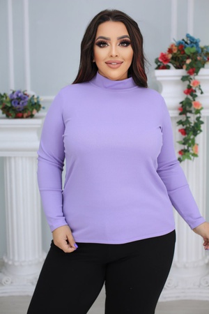 Водолазка №0306