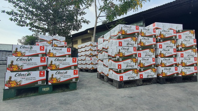 Kurutulmuş Mango. OLMISH fabrikalarından kurutulmuş meyveler