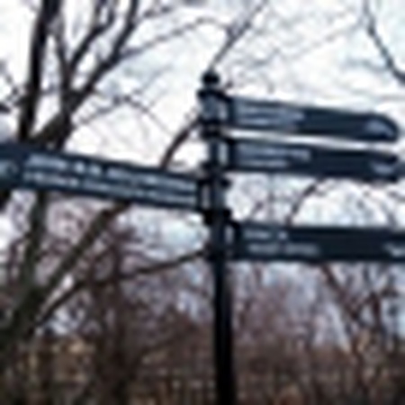 Kutup işaretçileri