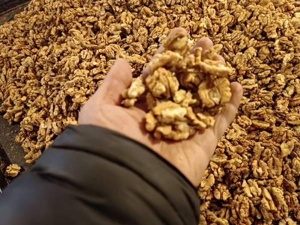 Ядро грецкие орехи